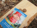 FitFuel Double Chocolate Pack